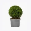 product-image-4_optimized Demo