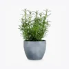 product-image-5_optimized Demo