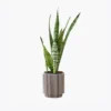 product-image-6_optimized Demo