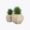 product-image-7_optimized Demo