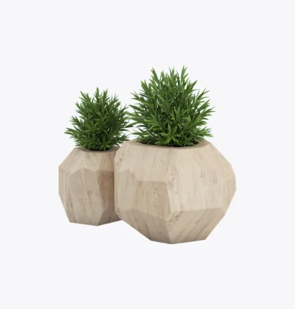 product-image-7_optimized Demo