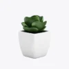 product-image-9_optimized Demo