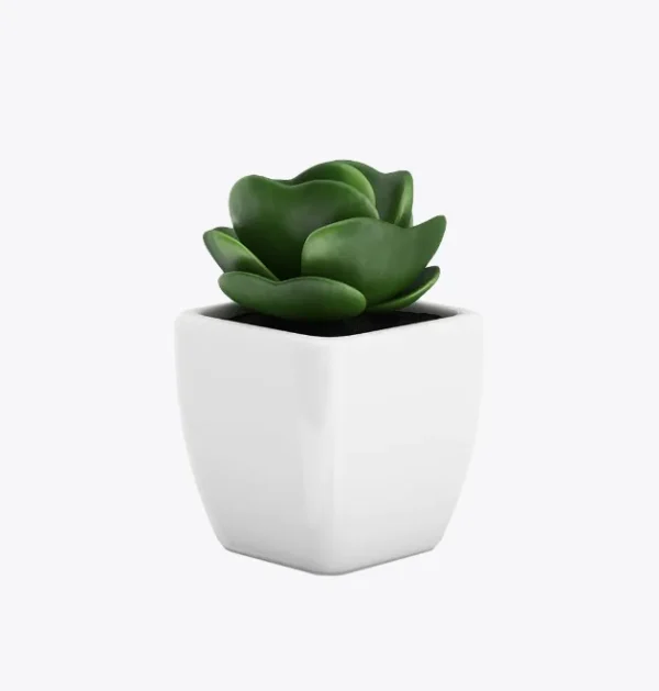product-image-9_optimized Demo